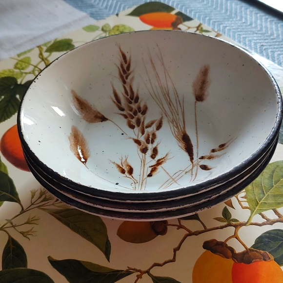 Vintage Wild Oats Stonehenge Midwinter England Stoneware Cereal Bowl Wedgwood - Picture 1 of 10